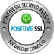 Siegel Positive SSL Secured Website
